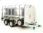Ifor Williams Viehanhänger TA510 178x372cm Höhe:183 3,5t-Neu – Image 5